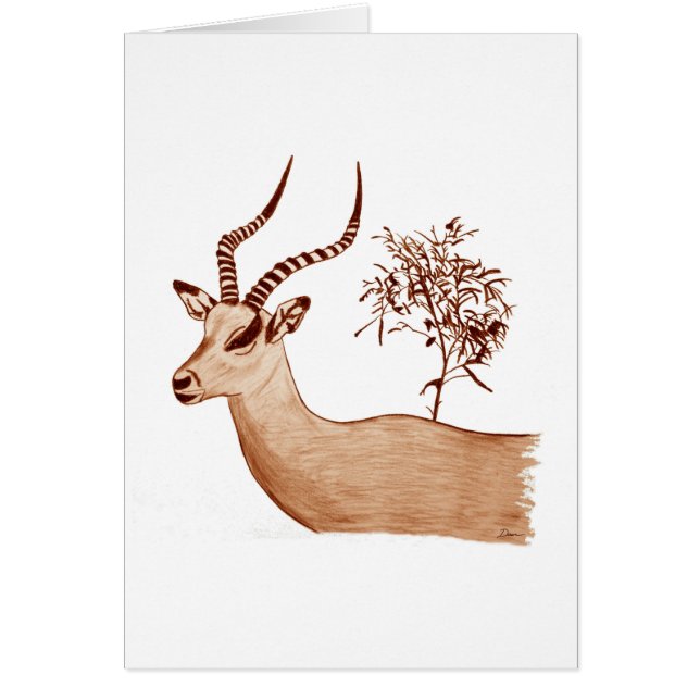 Impala Antelope Animal Wildlife Teckning Sketch Hälsningskort (Framsidan)