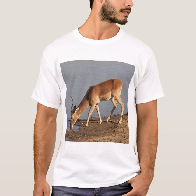 Impala antelope dricker vid vattenhålets foto t shirt (Framsida)