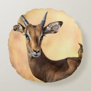 Impala och Oxpecker Bird i Afrika Rund Kudde