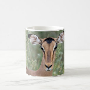 Impala Porträtt Kaffemugg