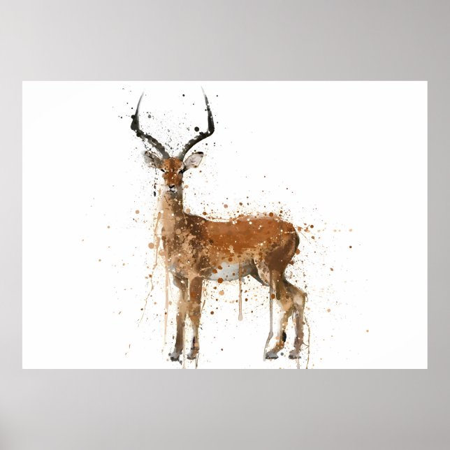 Impala Poster (Framsidan)