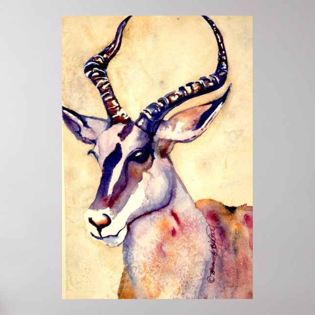 Impala Watercolor Poster (Framsidan)