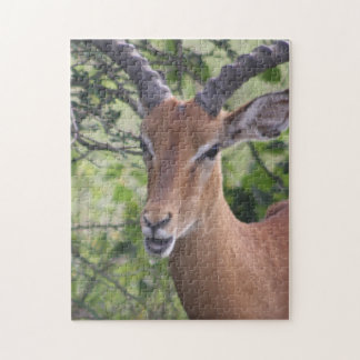 Impala Wildlife Jigszle Puzzle Pussel