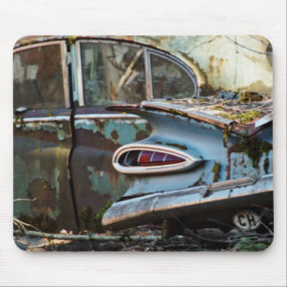 Impalabaksida tänder musmatta