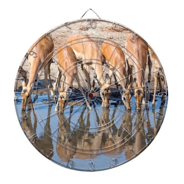 Impalas vid vattenhålet darttavla (Framsidan)