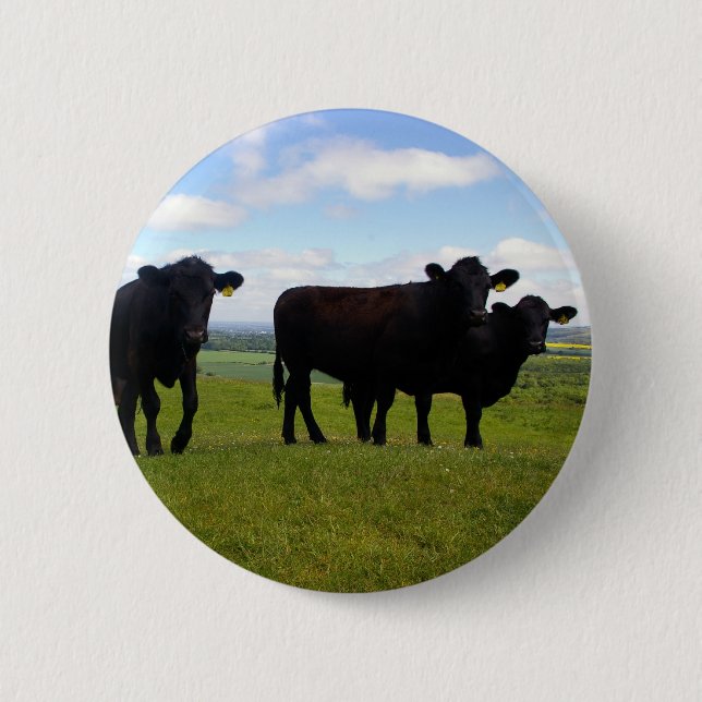 Impatience Knapp (Framsida)