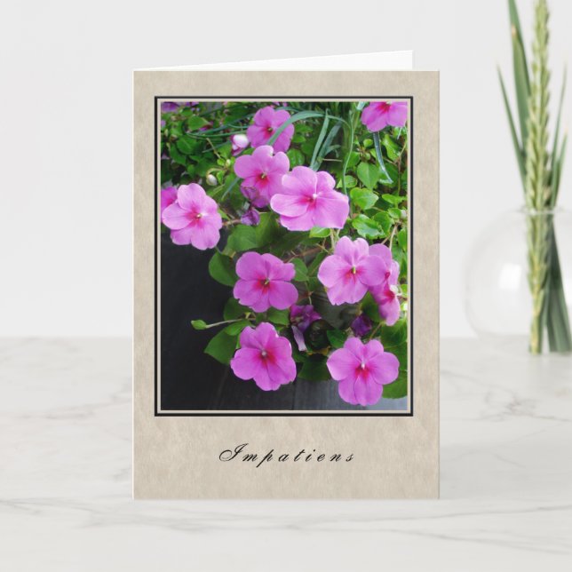 Impatiens - blom- serie kort (Framsida)