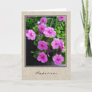 Impatiens - blom- serie kort
