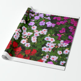 Impatiens Presentpapper