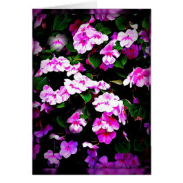 Impatiens rosa- & gröntkort hälsningskort