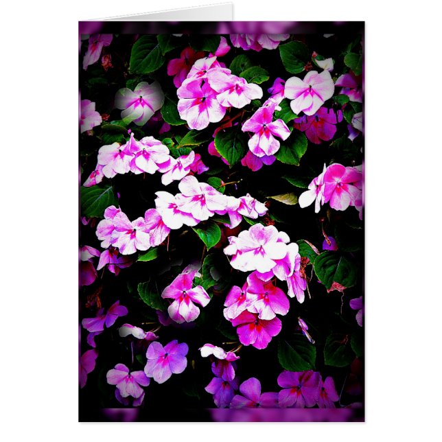 Impatiens rosa- & gröntkort hälsningskort (Framsidan)
