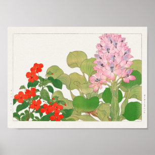 Impatiens, Vatten hyacint av Tanigami Konan Poster