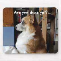 Impatient Pet