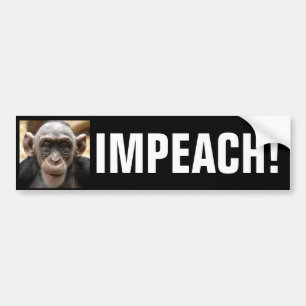 IMPEACH OBAMA! BILDEKAL