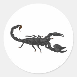 Imperial Black Scorpion Runt Klistermärke