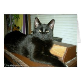 Imperial kattunge hälsningskort