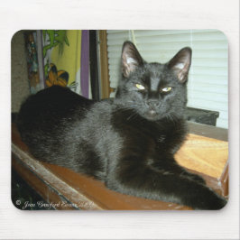 Imperial kattunge musmatta