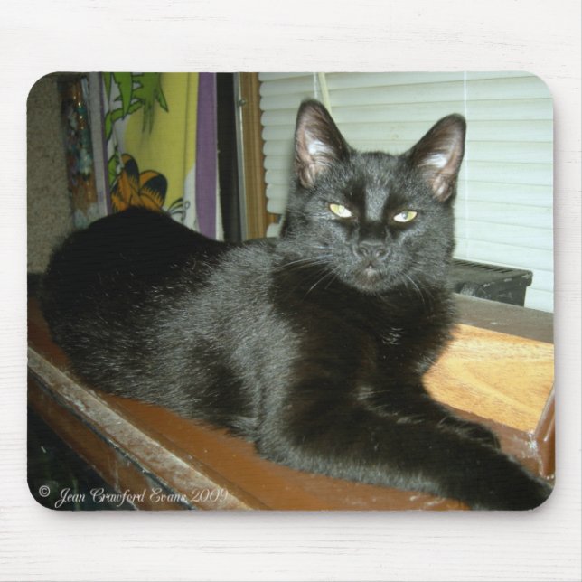 Imperial kattunge musmatta (Framsidan)