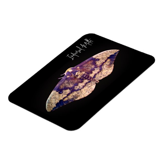 Imperial Moth Magnet (Vänstra Sidan)