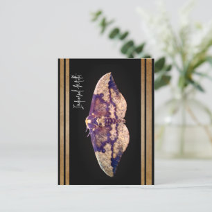 Imperial Moth Vykort