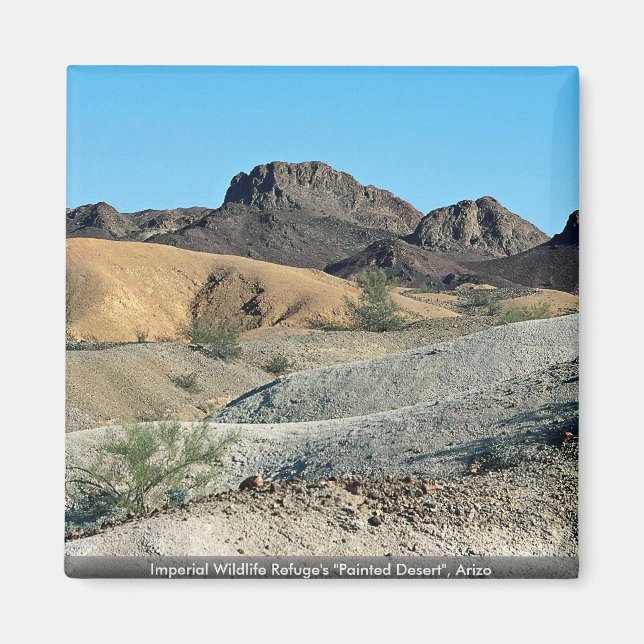 Imperial Wildlife Refuge's "Painting Desert", Ariz Magnet (Framsidan)