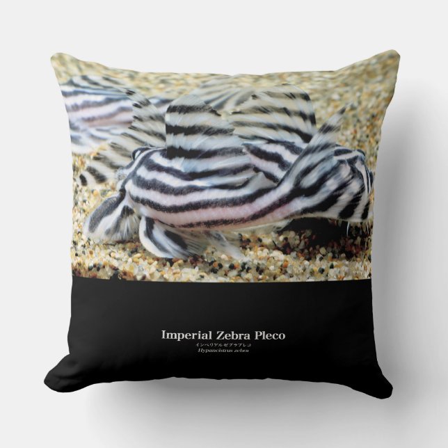 Imperial Zebra Pleco Kudde (Framsida)