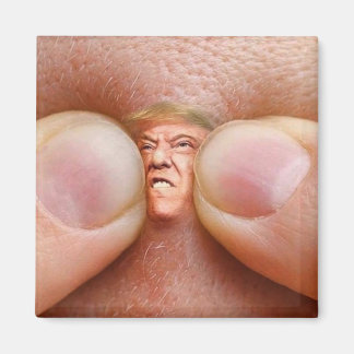 implicit trump magnet