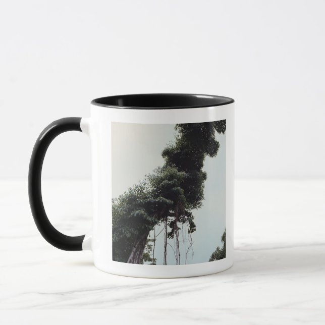 Imponera träd och vines i djungel mugg (Vänster)