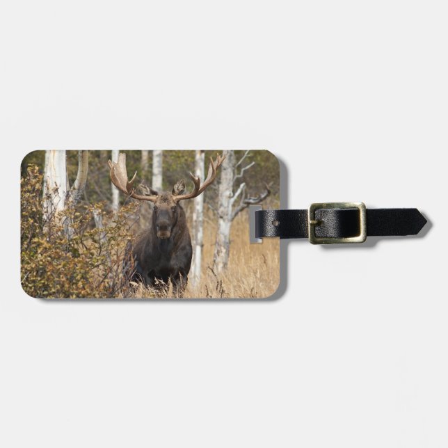 Imponerande Bull Moose Bagagebricka (Horisontell Framsida)