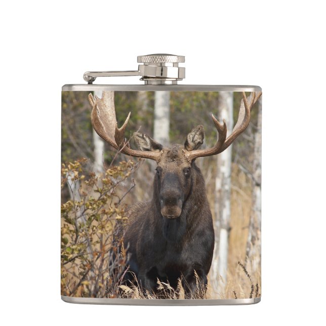 Imponerande Bull Moose Fickplunta (Framsidan)