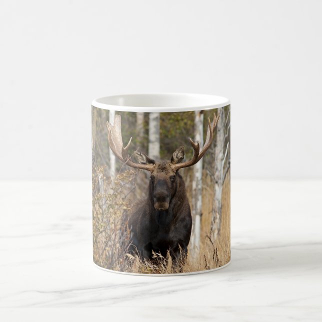 Imponerande Bull Moose Kaffemugg (Center)
