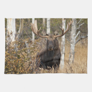 Imponerande Bull Moose Kökshandduk