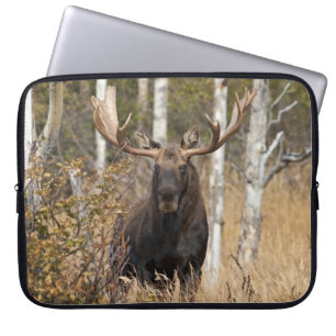 Imponerande Bull Moose Laptop Fodral