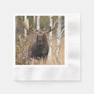 Imponerande Bull Moose Pappersservett