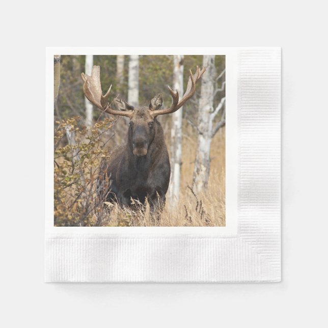 Imponerande Bull Moose Pappersservett (Framsidan)