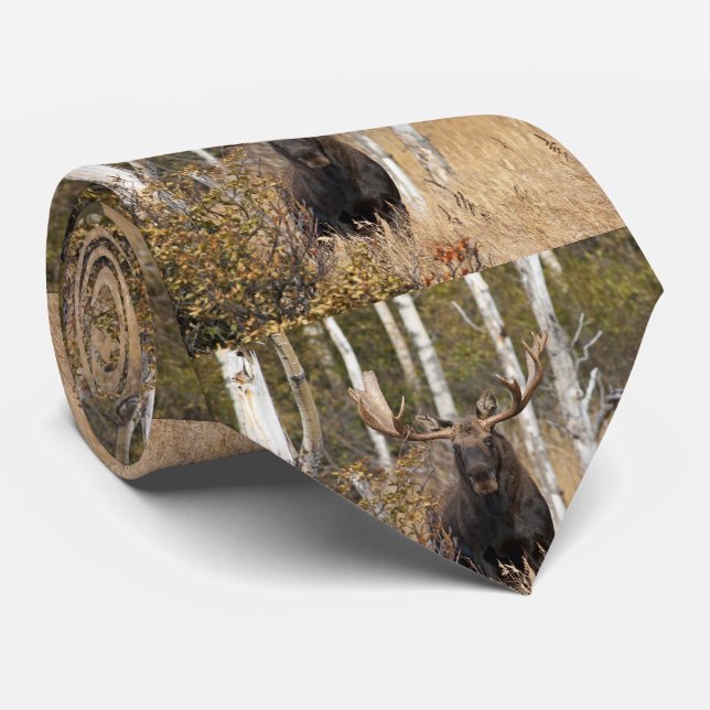 Imponerande Bull Moose Slips (Rullad)