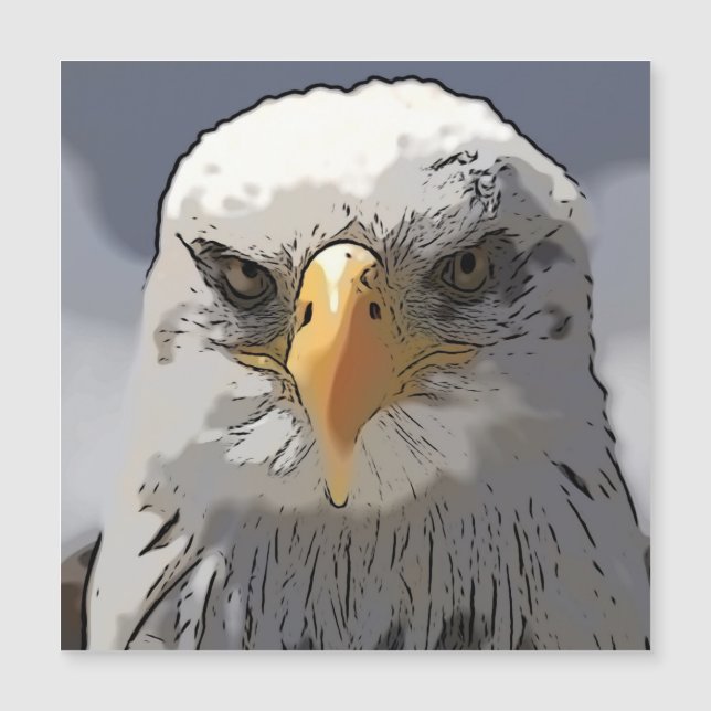 Imponerande djur - Eagle (Framsida)