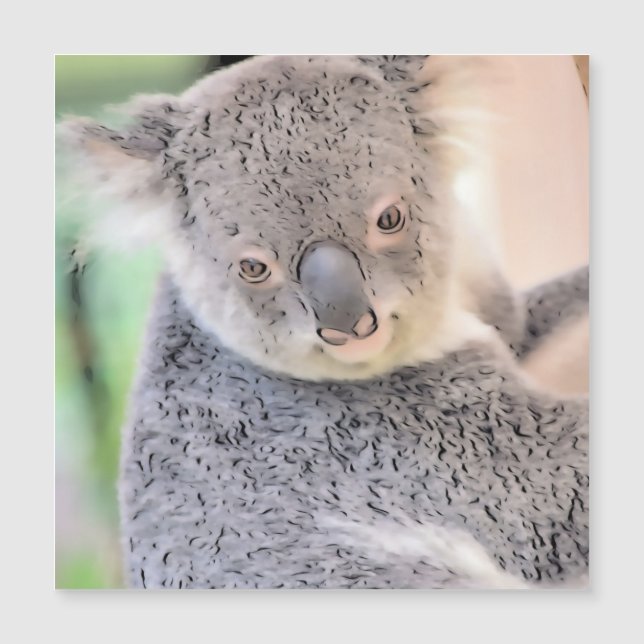 Imponerande djur - Koala (Framsida)