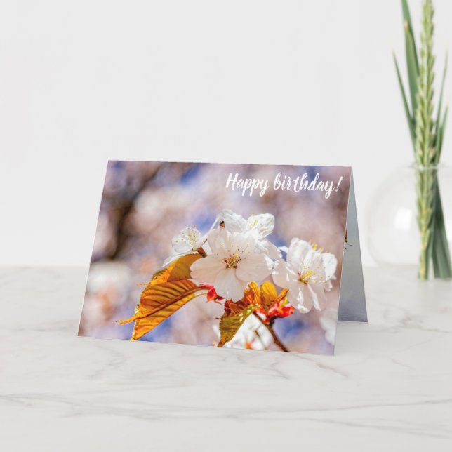 Imponerande Sakurablommor på en sjudisk dag i Vår Kort (Framsida)