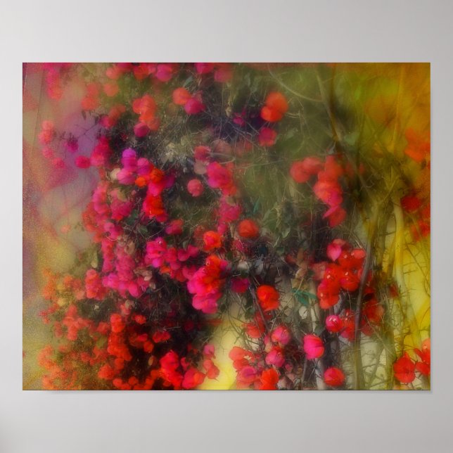 Impressionism Red Bougainvillea Poster (Framsidan)