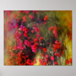 Impressionism Röda Bougainvillea Poster