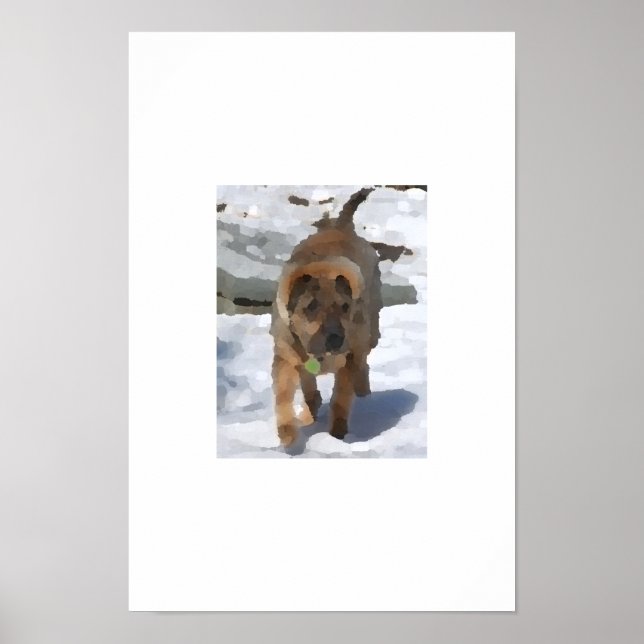 Impressionist Sharpei Poster (Framsidan)