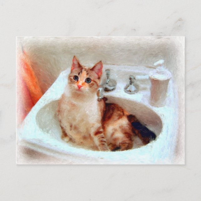 Impressionistens katt i ett Sink Basin-vykort Vykort (Framsida)