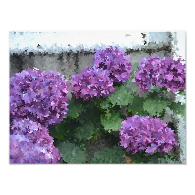 Impressionistisk Hydrangea Photo Print Fototryck (Framsidan)