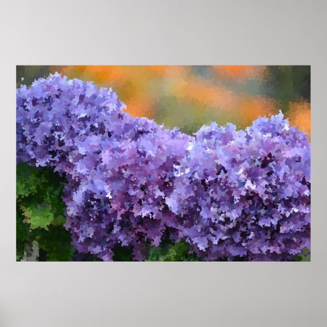 Impressionistisk Hydrangea Poster (Framsidan)