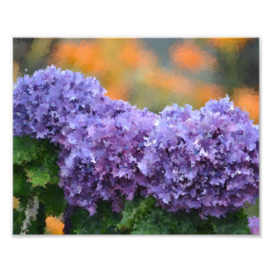 Impressionistisk Hydrangeas Photo Print Fototryck