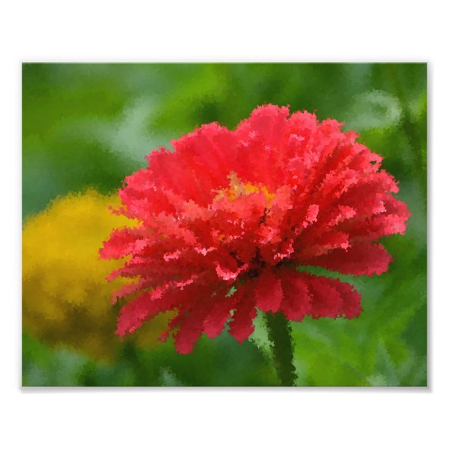 Impressionistisk Zinnia-fotoutskrift Fototryck (Framsidan)