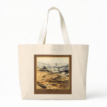 Imprint för evolution