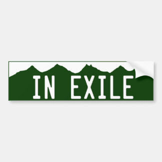 in_exile bildekal
