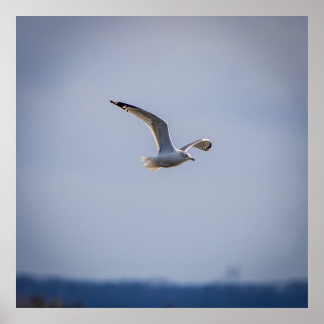 In Flight Poster (Framsidan)